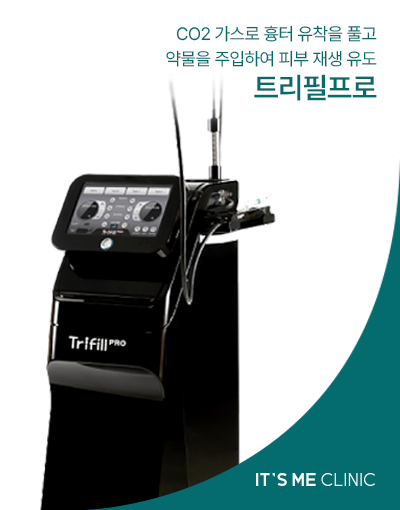 트리필프로 썸네일